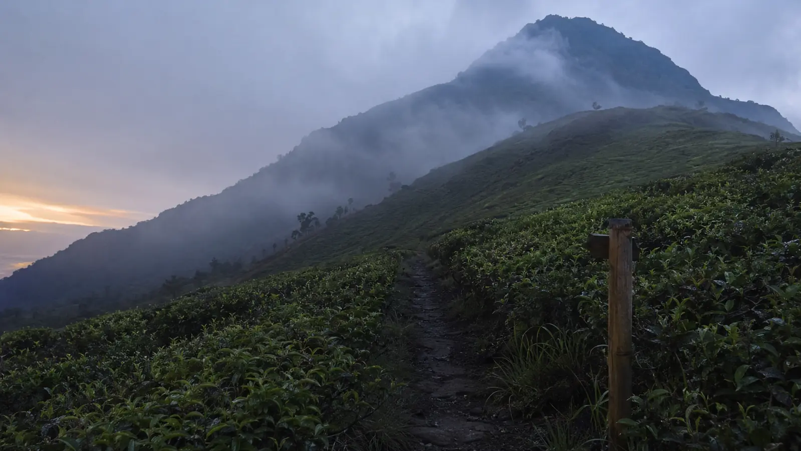 Jalur Treking Gunung Malabar Pangalengan yang Wajib Dicoba