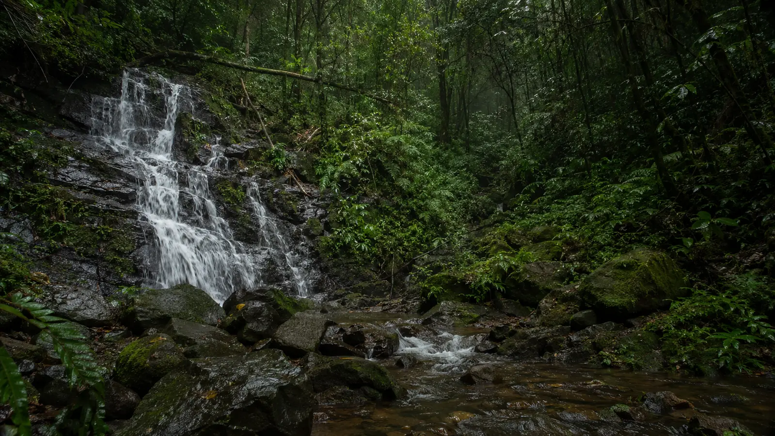 5 Hidden Gems Pangalengan: Liburan Anti Mainstream!