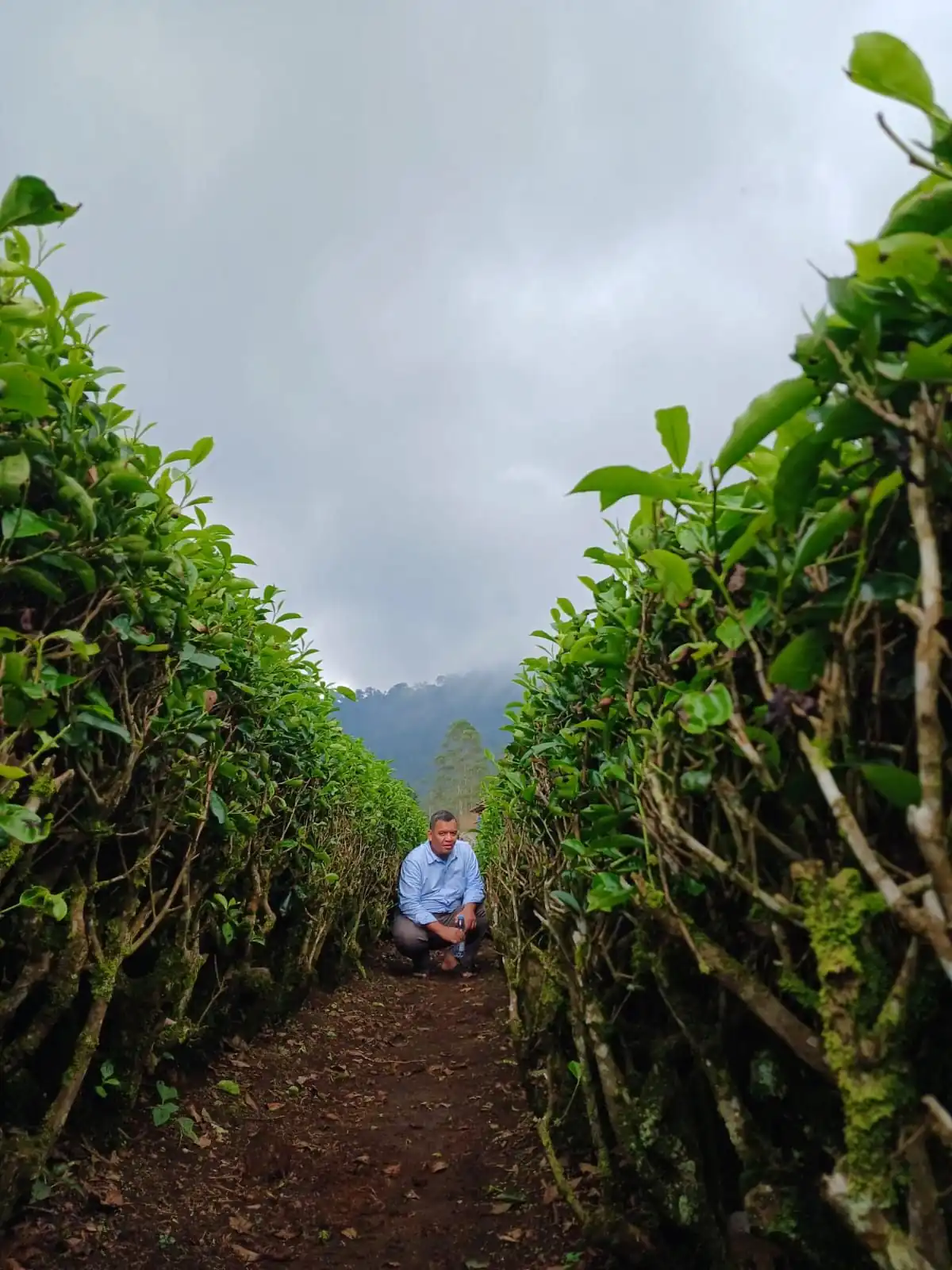 Fasilitas Homestay Bumina EENK