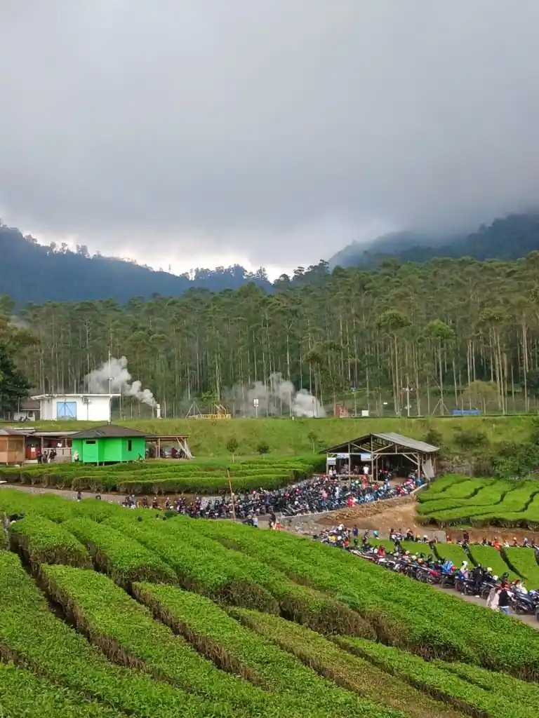 TikTok Bumina EENK 3